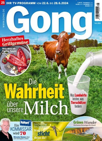 Gong mit Digital Extra